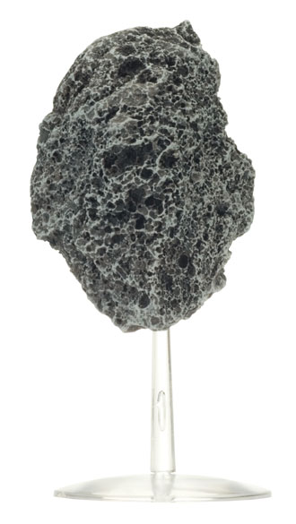Asteroids (BB558)